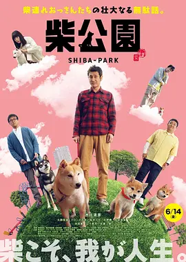 最新不卡av